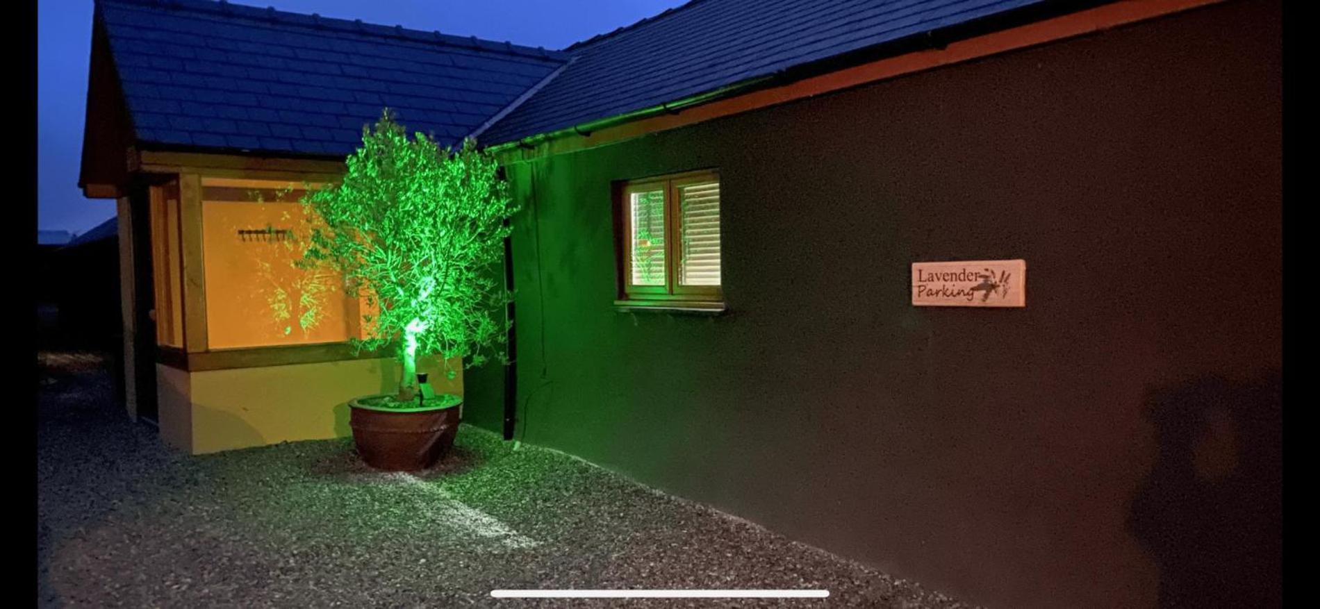 Lavender - Luxurious Barn Conversion - Blossom Farm Johnston Εξωτερικό φωτογραφία